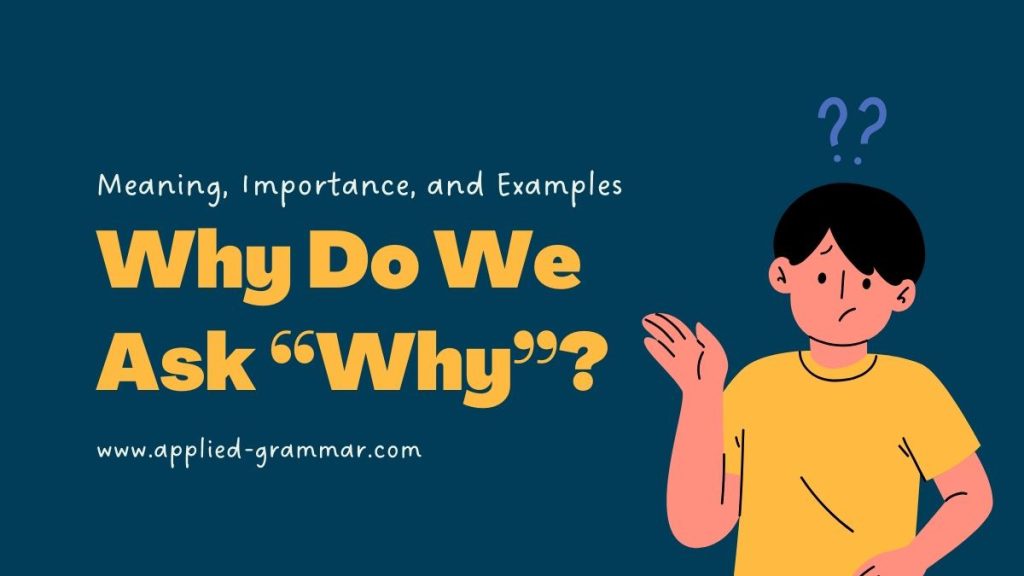 Why Do We Ask Why Meaning Importance and Why Questions Examples