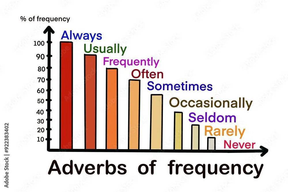 Hand drawn picture about Adverbs of frequency. Bar chart, numbers and vocabulary to show frequency level. Illustration for education. Concept, English grammar teaching. Education. Teaching aid.